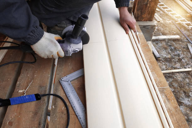 Best Vinyl Siding Installation  in Lesslie, SC