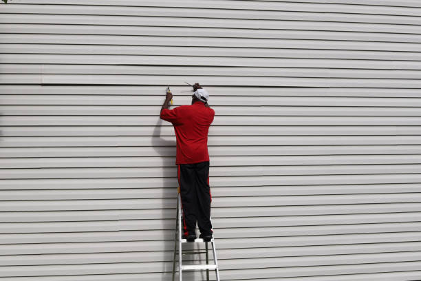 Best Historical Building Siding Restoration  in Lesslie, SC