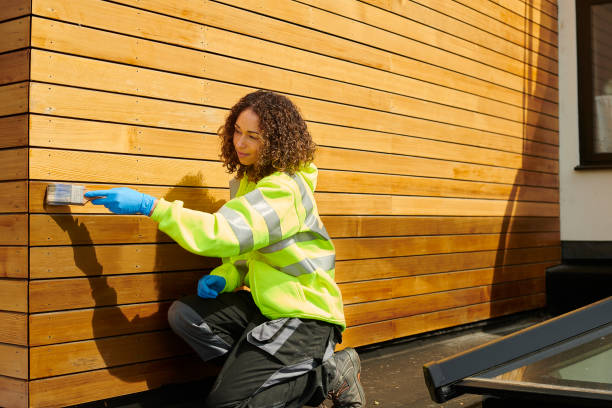 Best Storm Damage Siding Repair  in Lesslie, SC